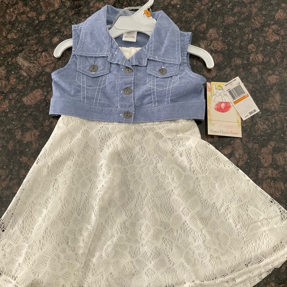 Sweet Heart Rose Other - Toddler 3T dress